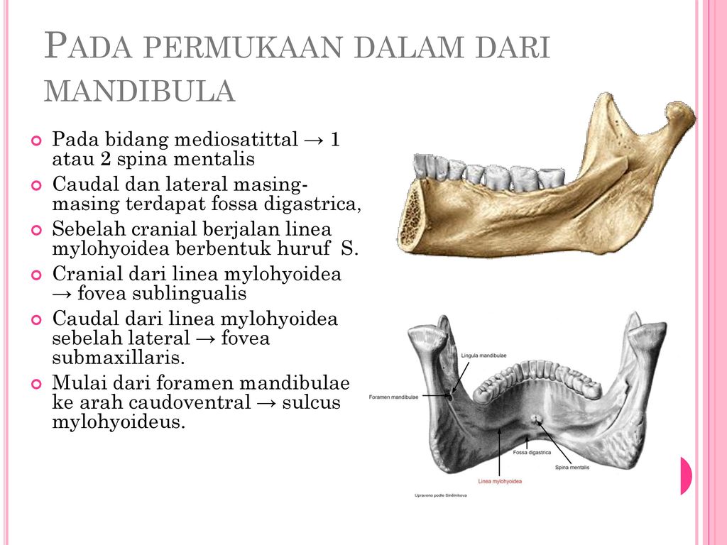 Como hacer que mi mandibula se marque